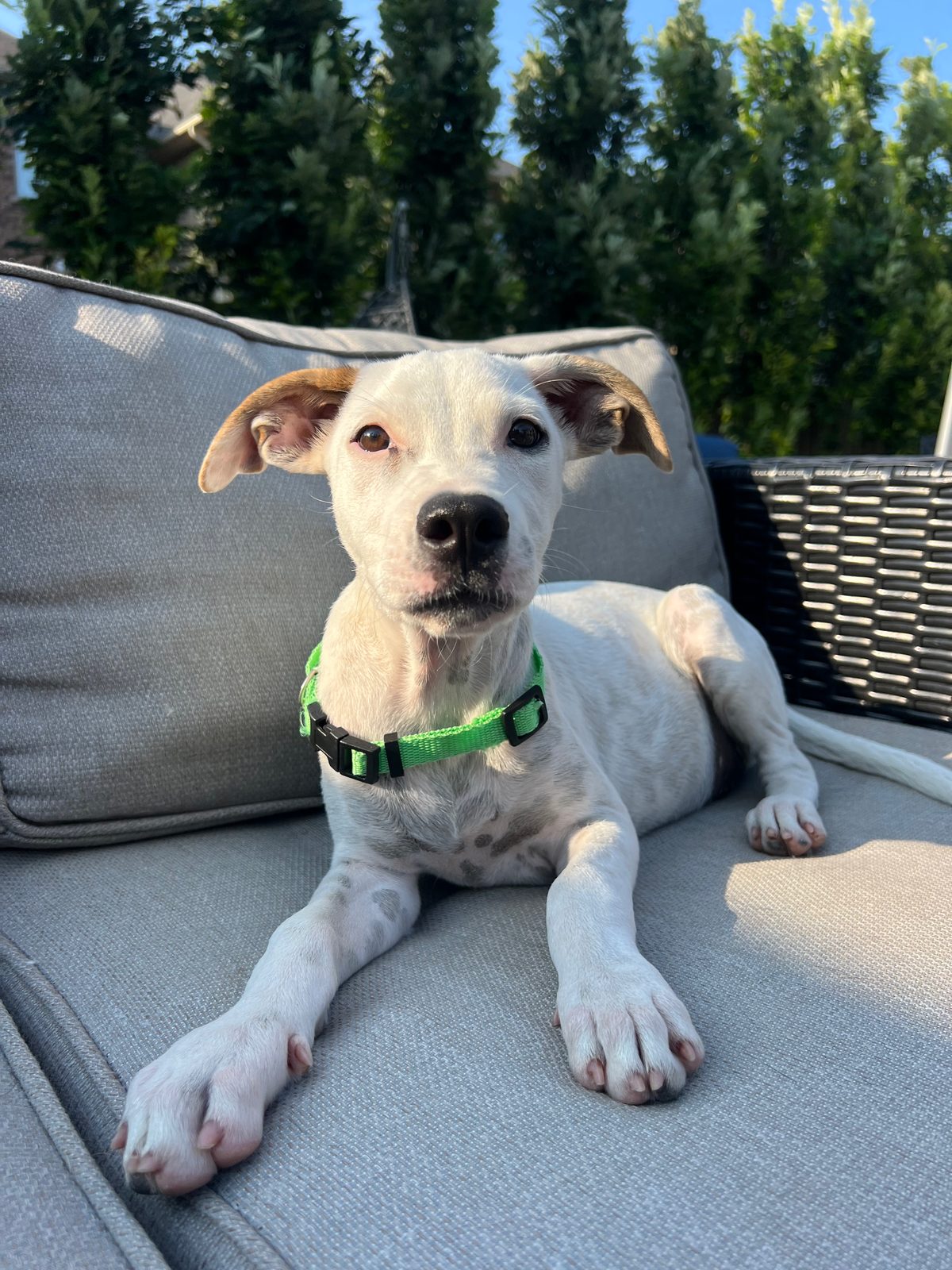 Photo of Isla