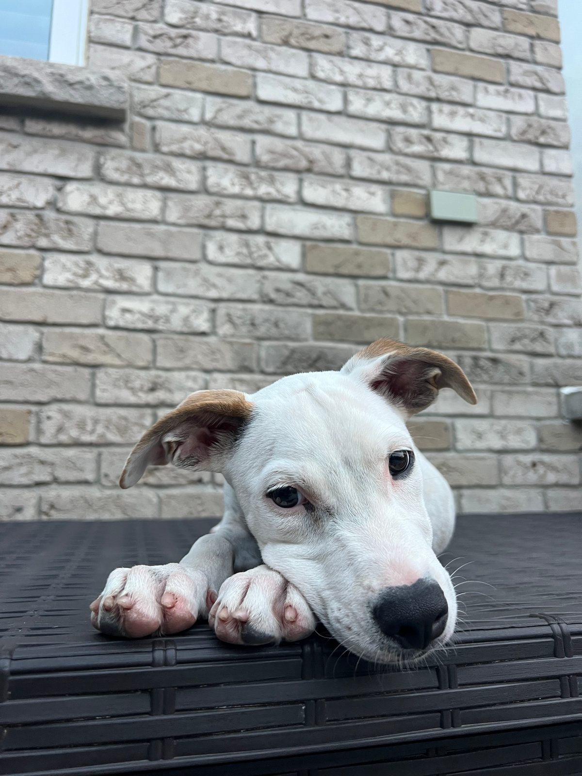 Photo of Isla