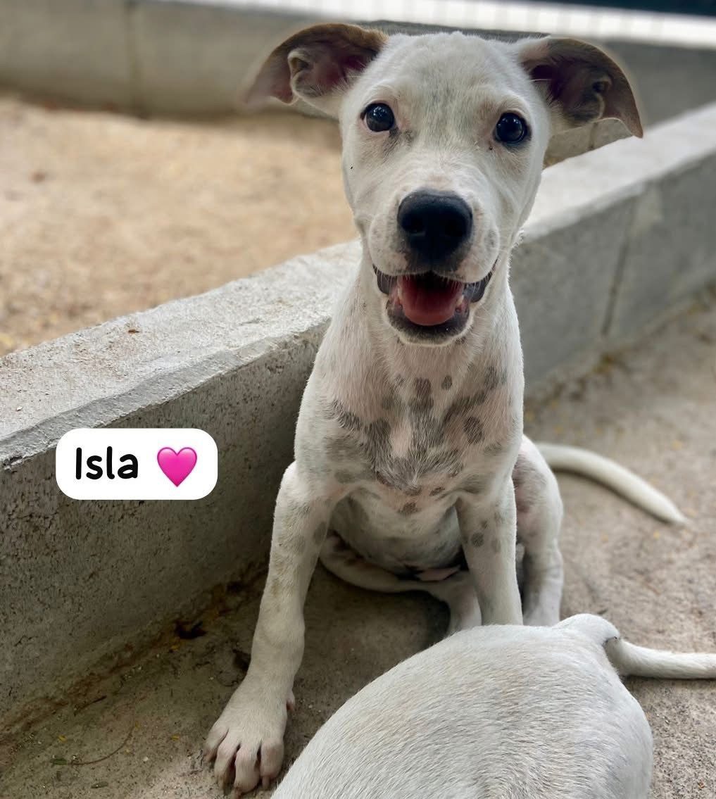 Photo of Isla