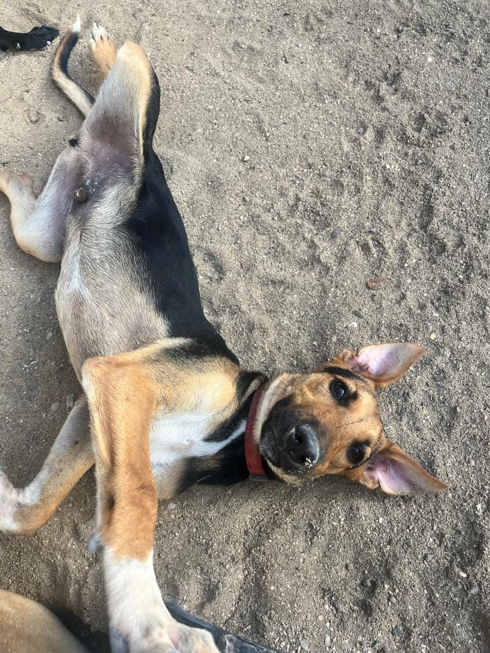 Photo of Jack