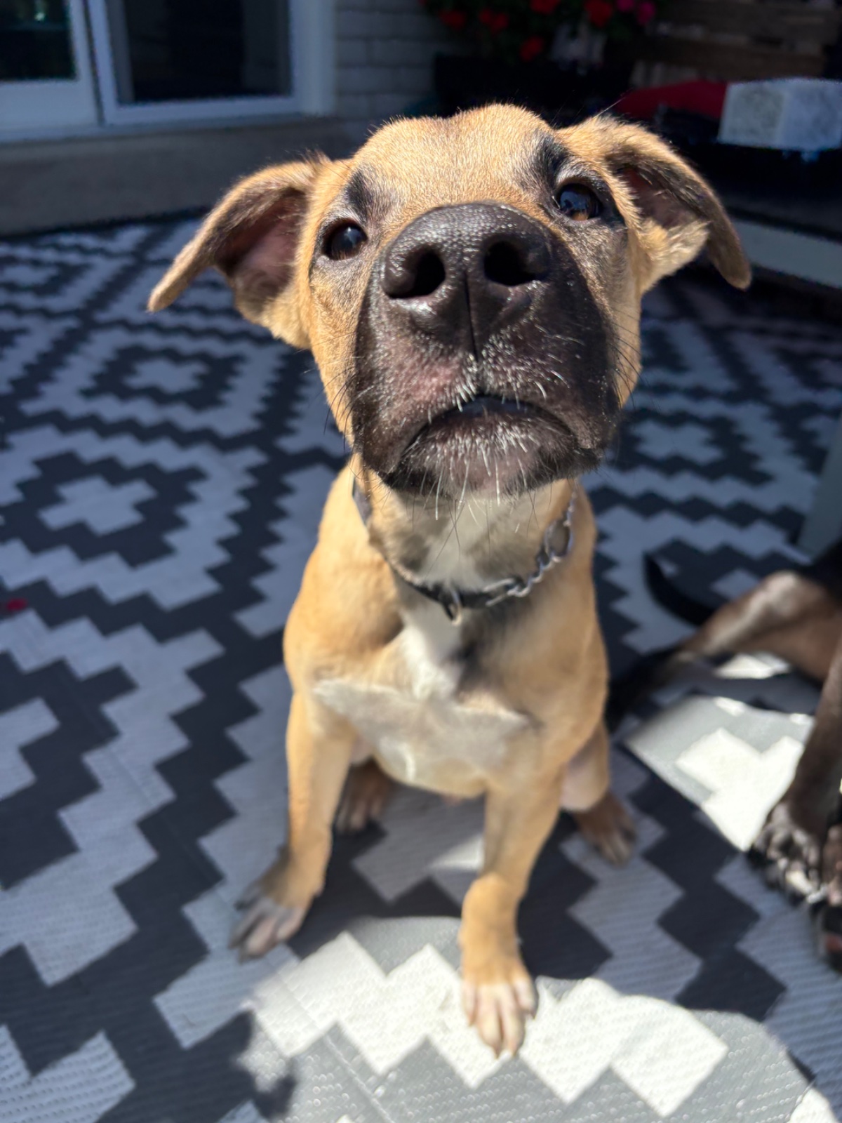 Photo of Jake
