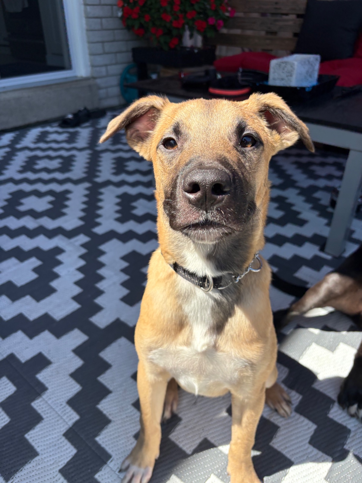 Photo of Jake