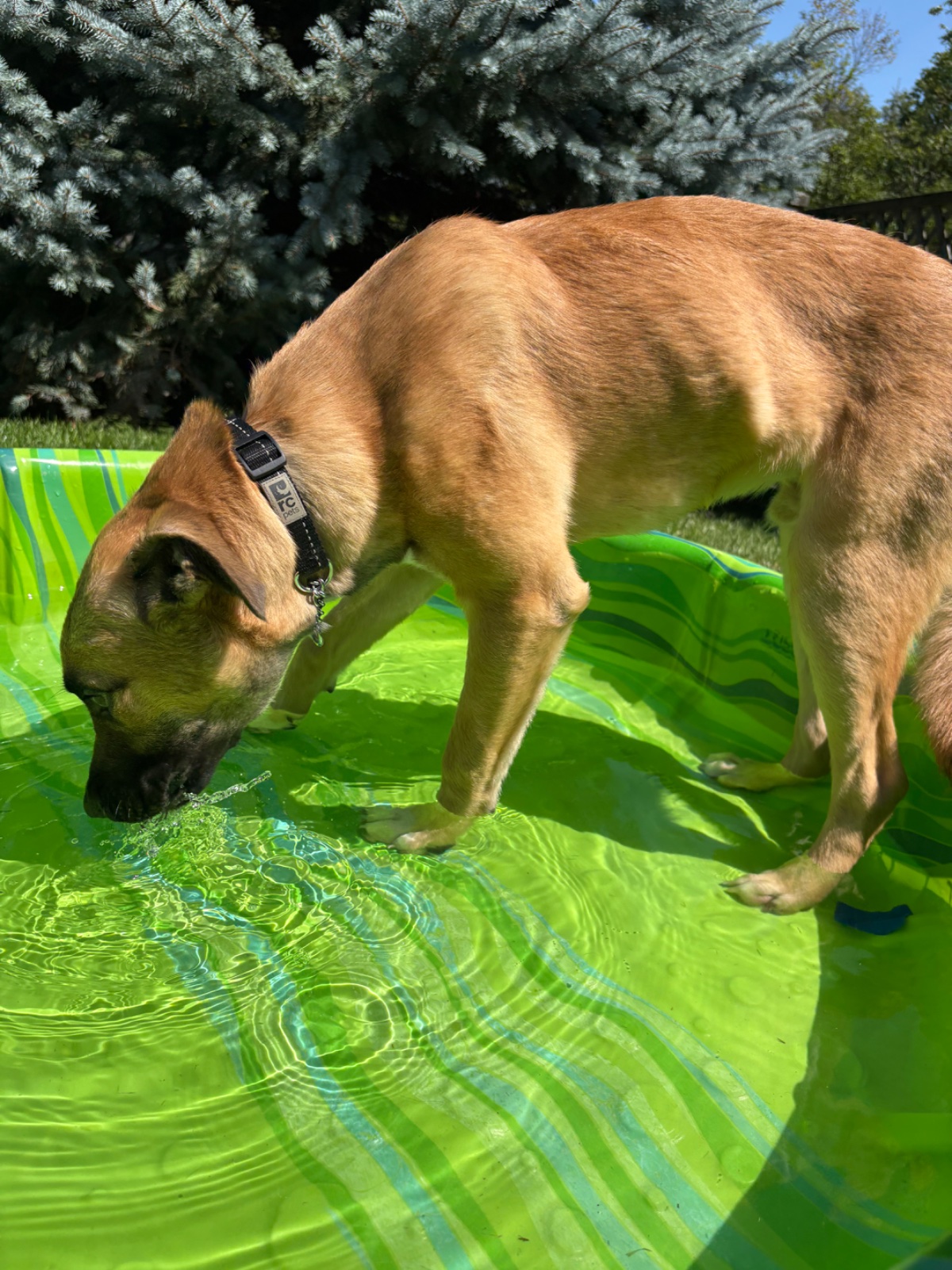 Photo of Jake