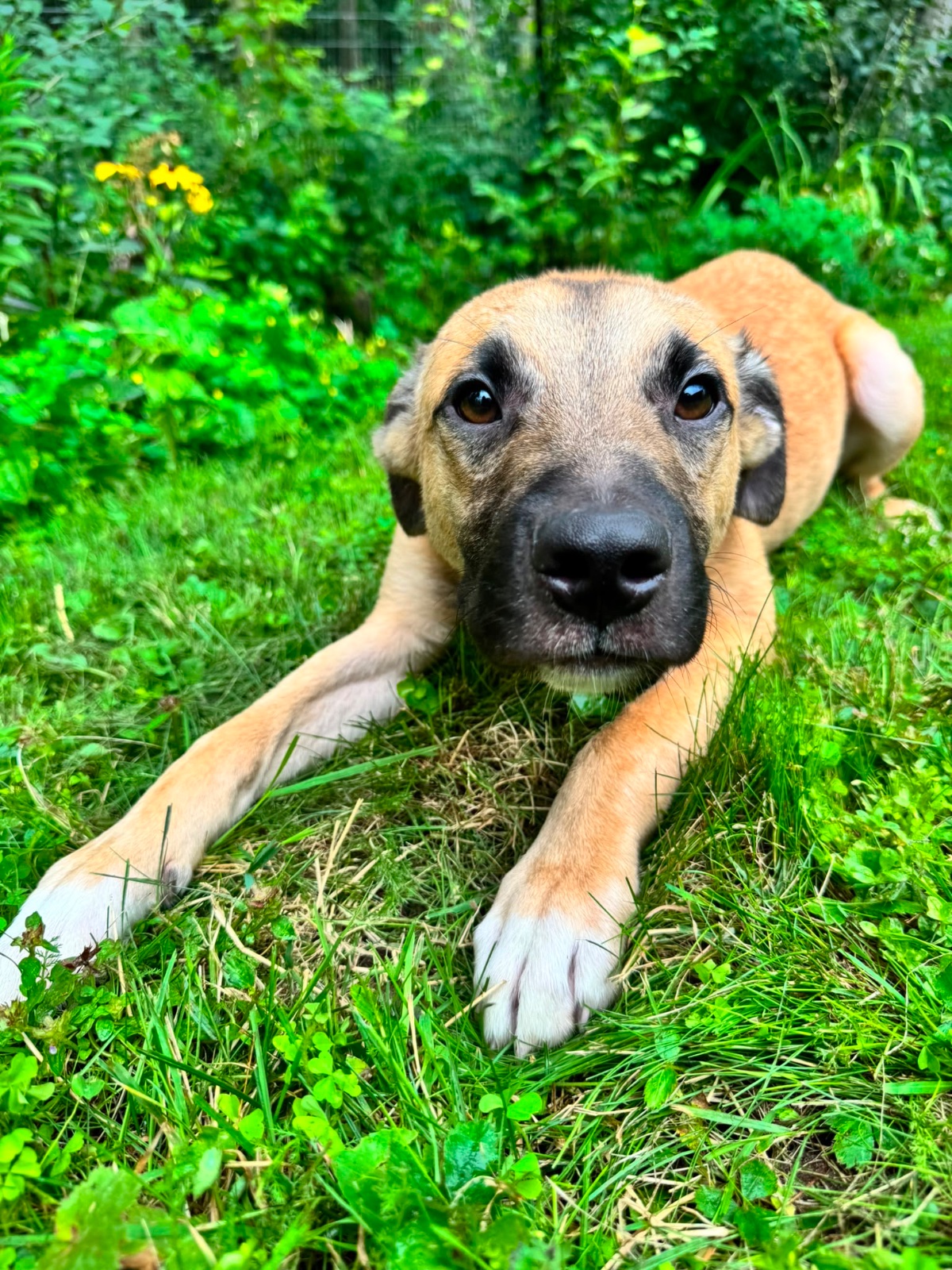Photo of Jake
