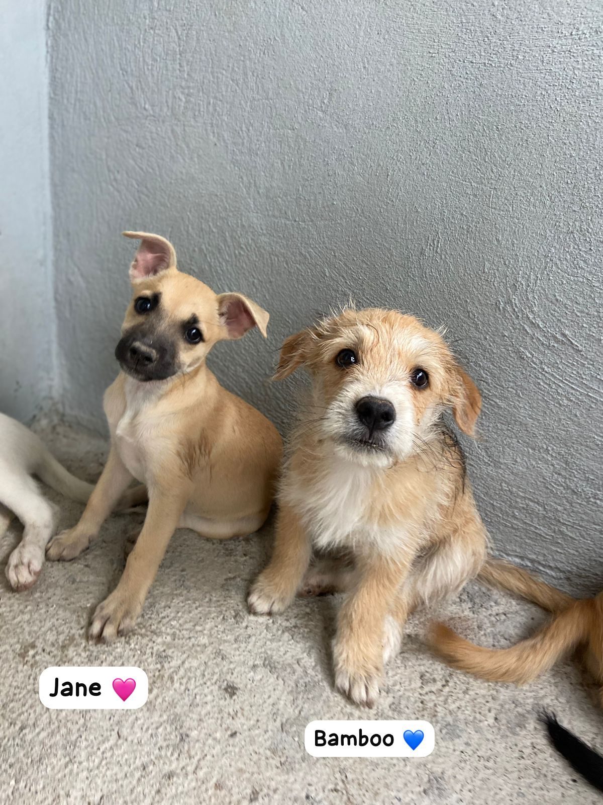 Photo of Jane