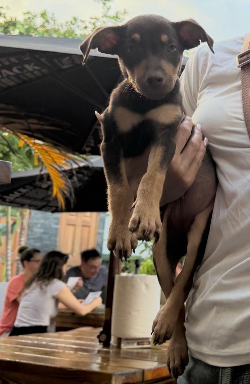 Photo of Jasmine