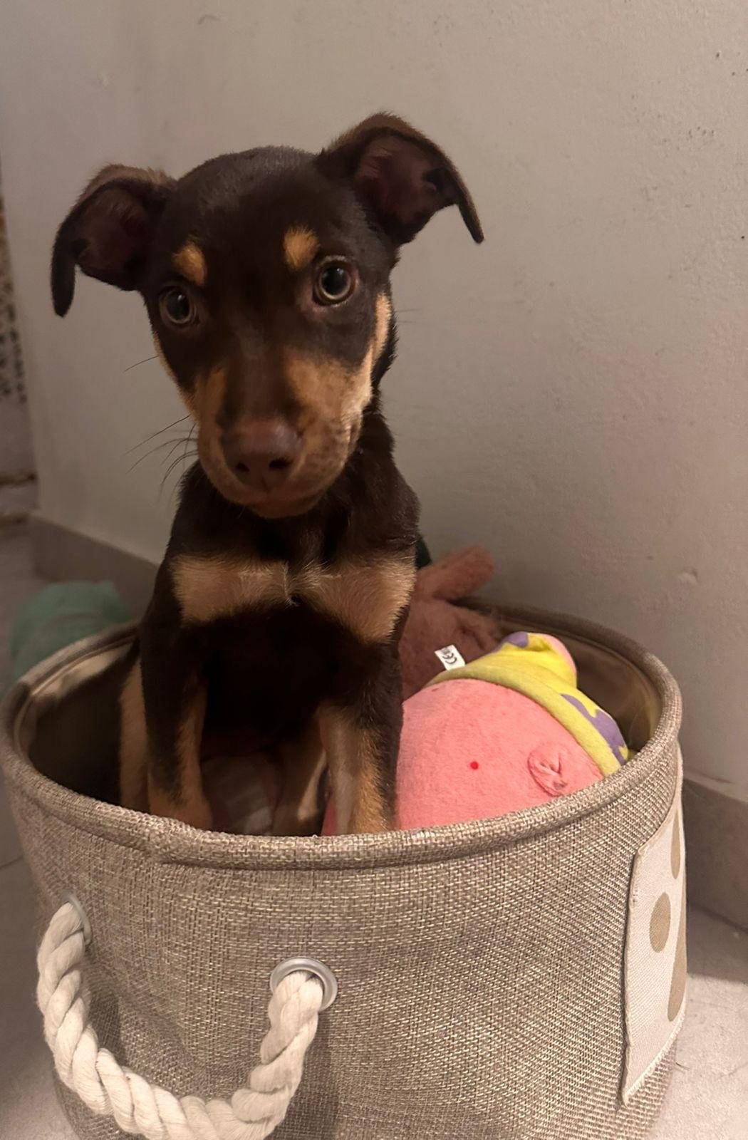 Photo of Jasmine