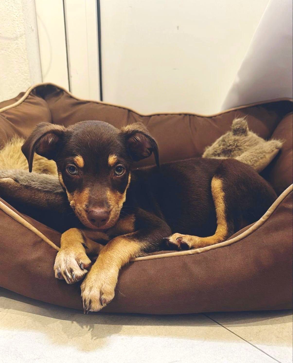 Photo of Jasmine