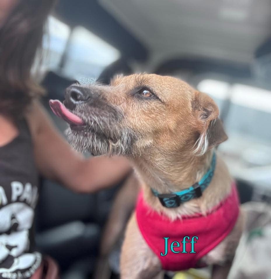 Photo of Jeff
