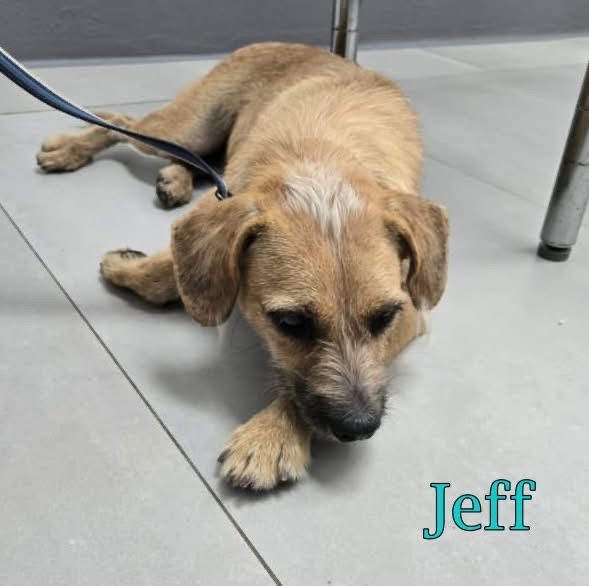 Photo of Jeff