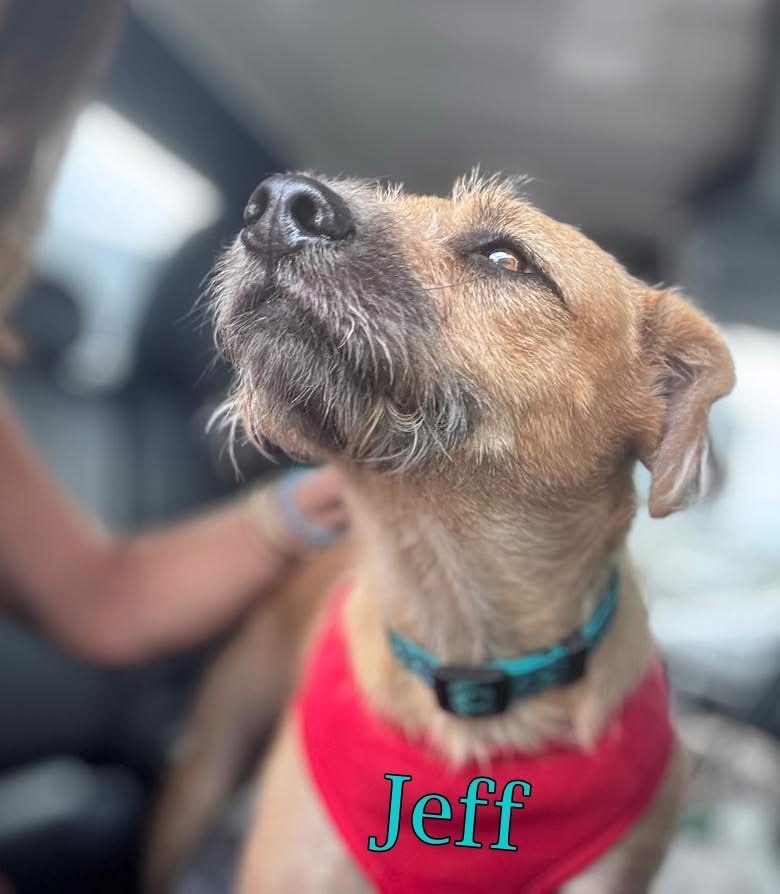 Photo of Jeff