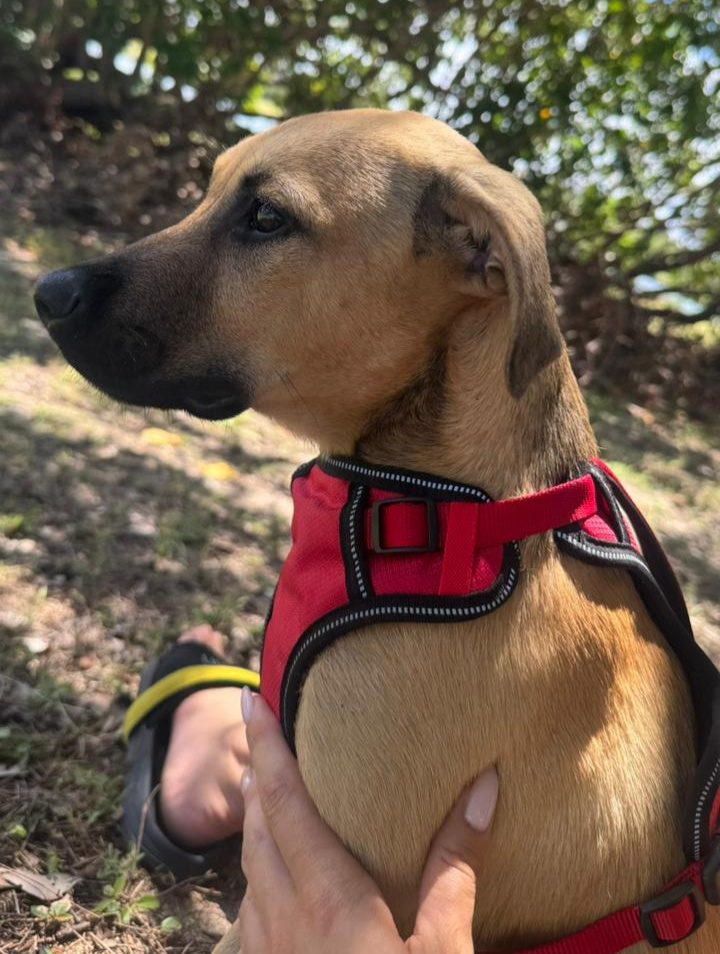 Photo of Kuzco