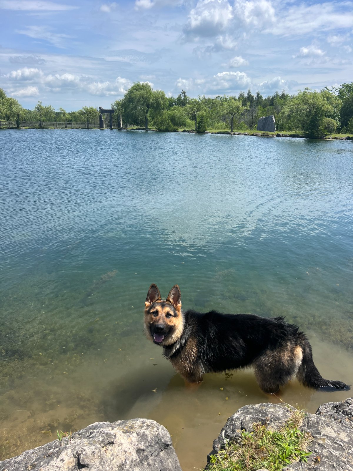 Photo of Lady