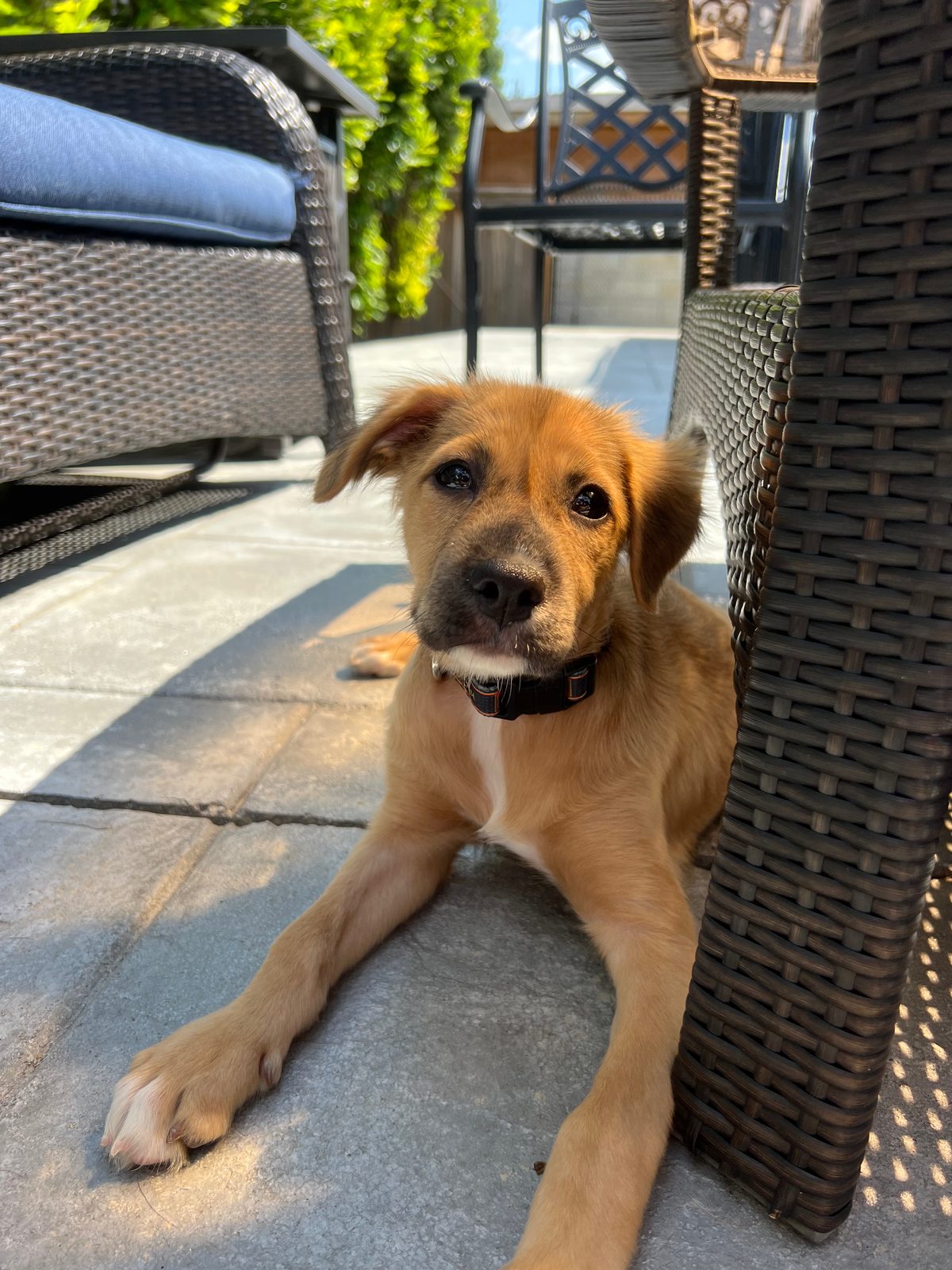 Photo of Lani