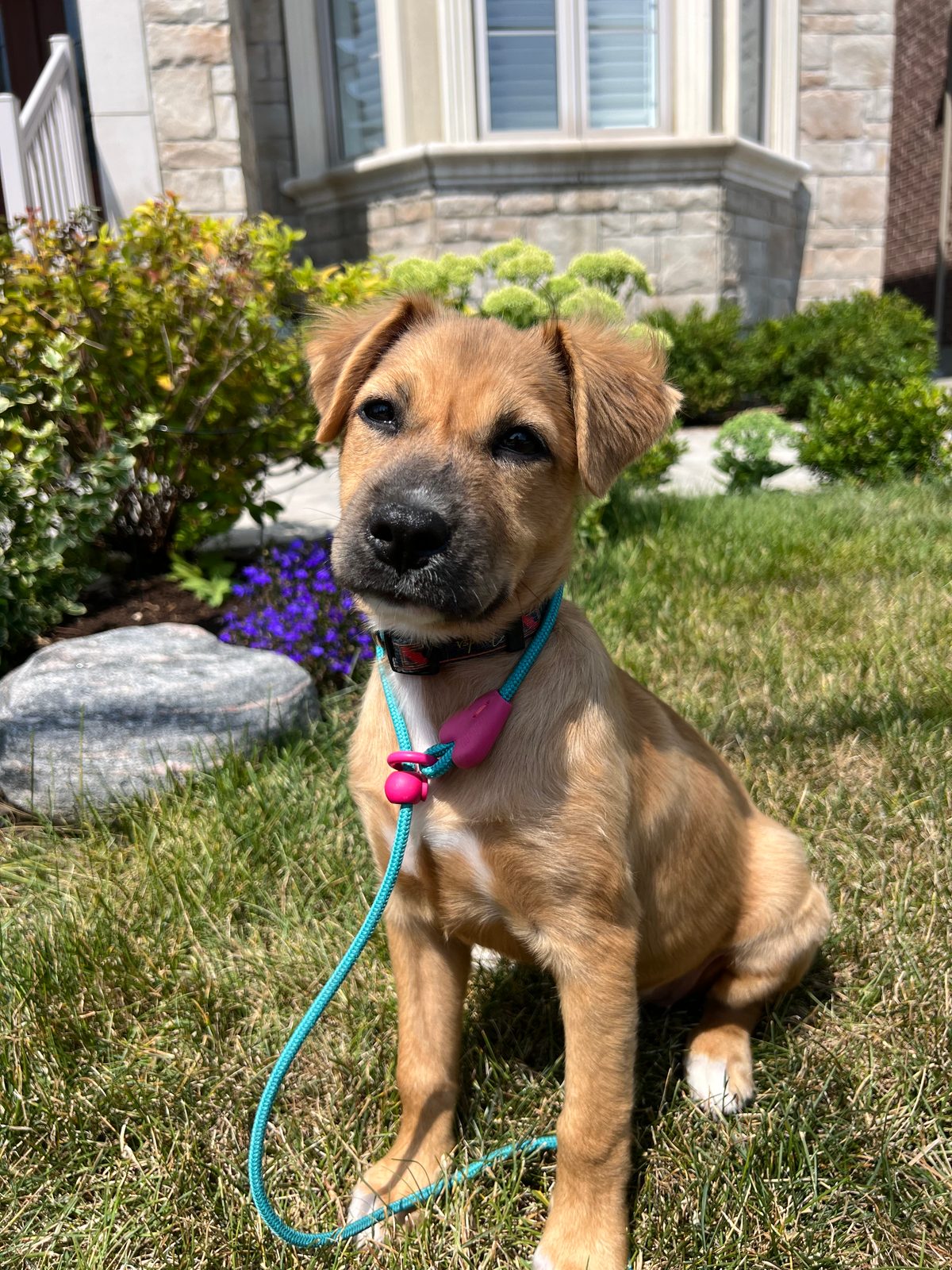 Photo of Lani