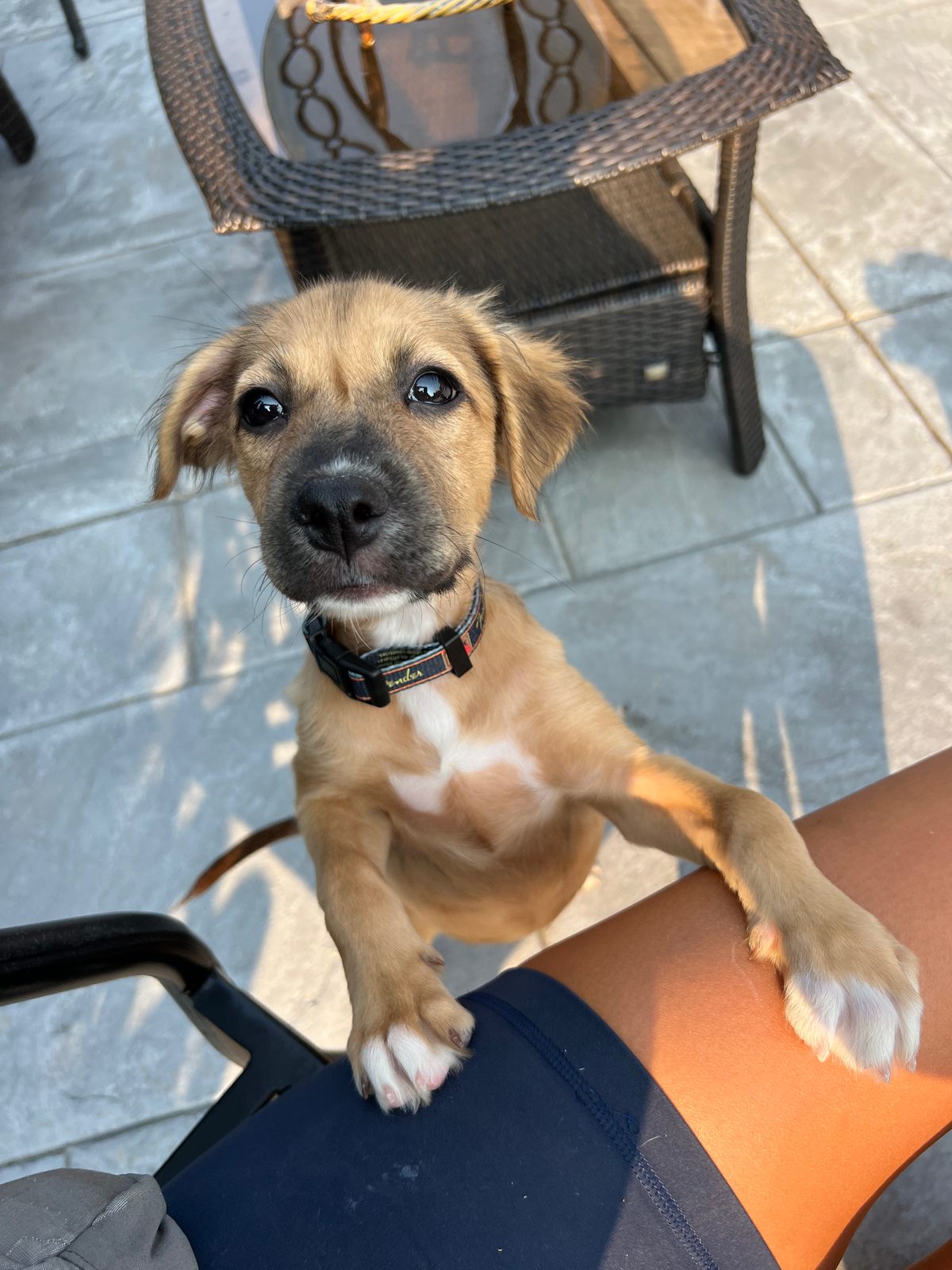 Photo of Lani