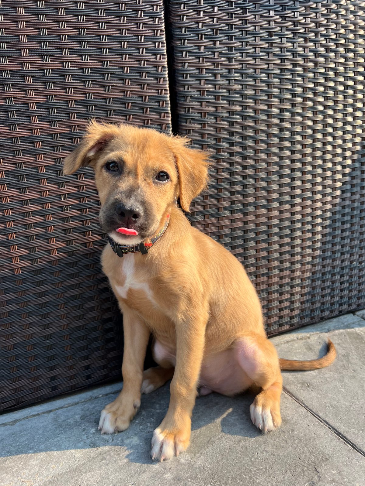 Photo of Lani