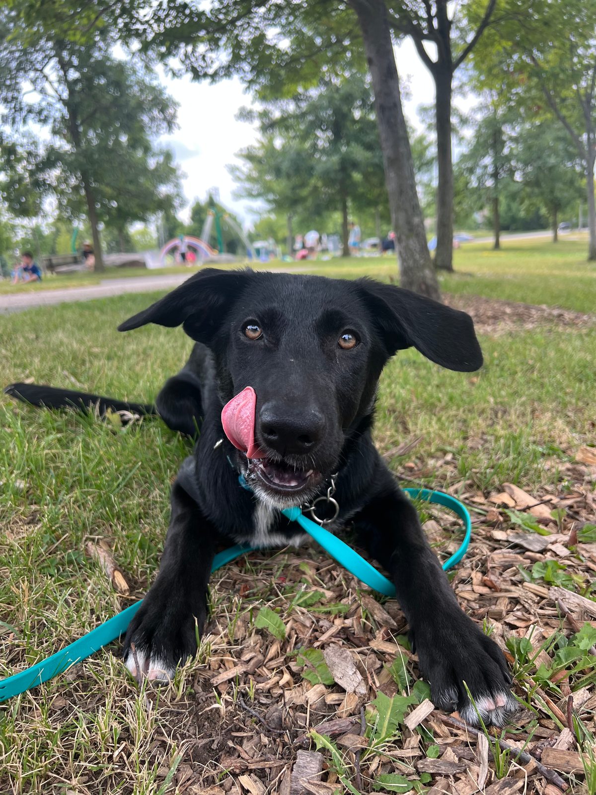 Photo of Lilly