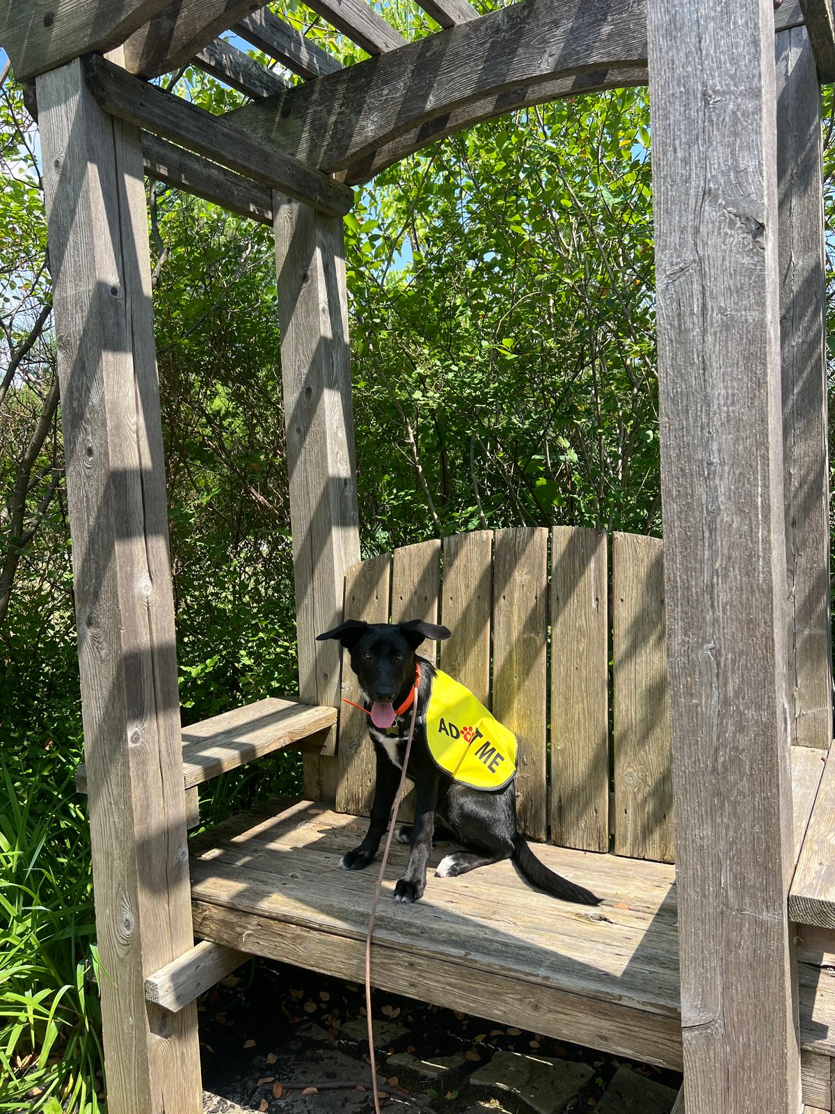 Photo of Lilly