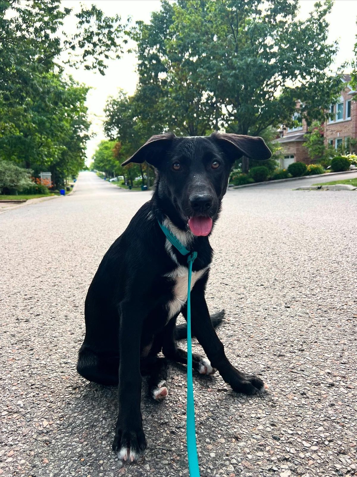 Photo of Lilly