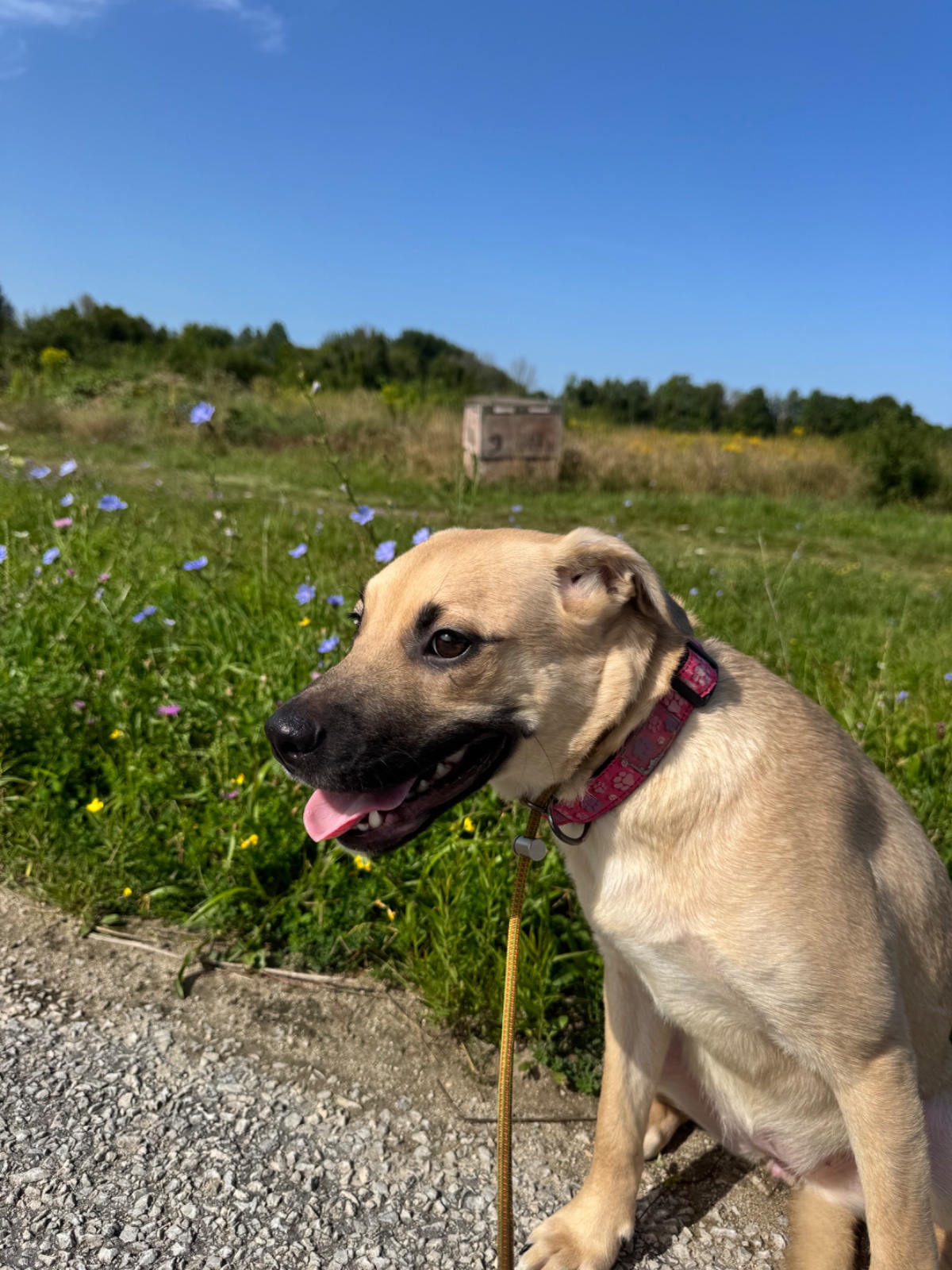 Photo of Lindy