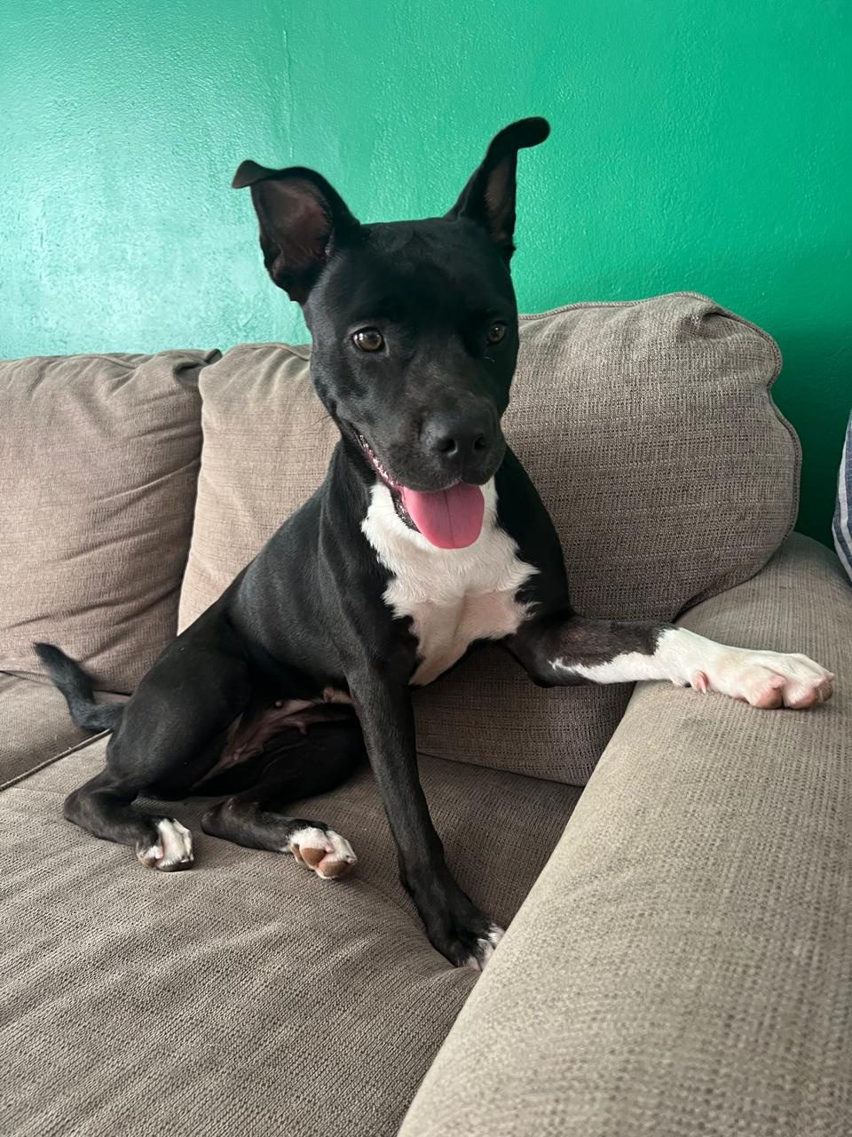Photo of Lola