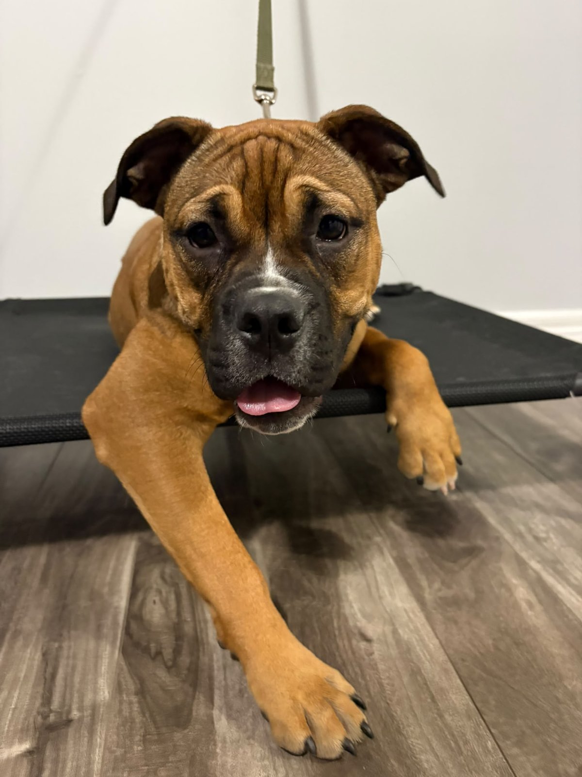 Photo of Lucy