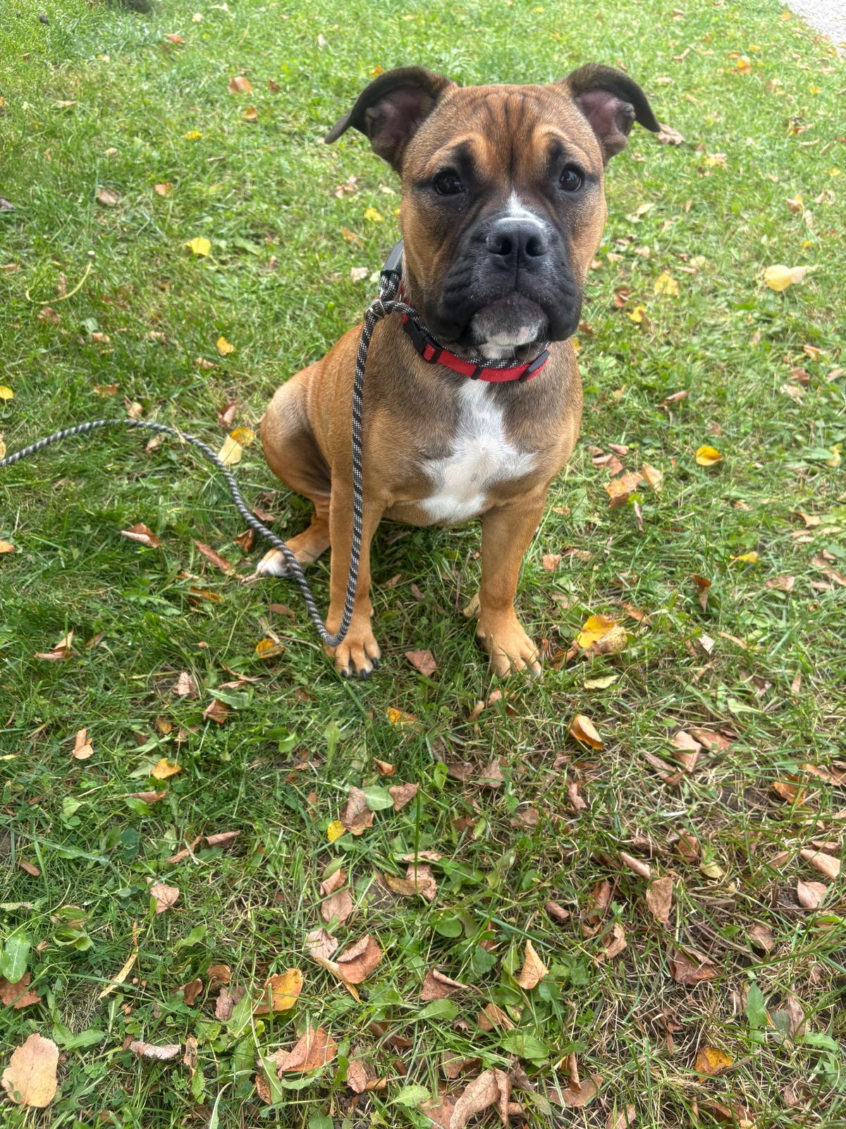 Photo of Lucy