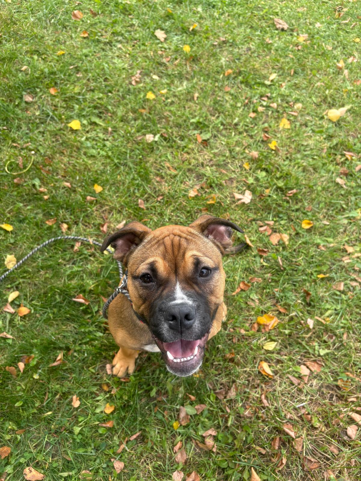 Photo of Lucy