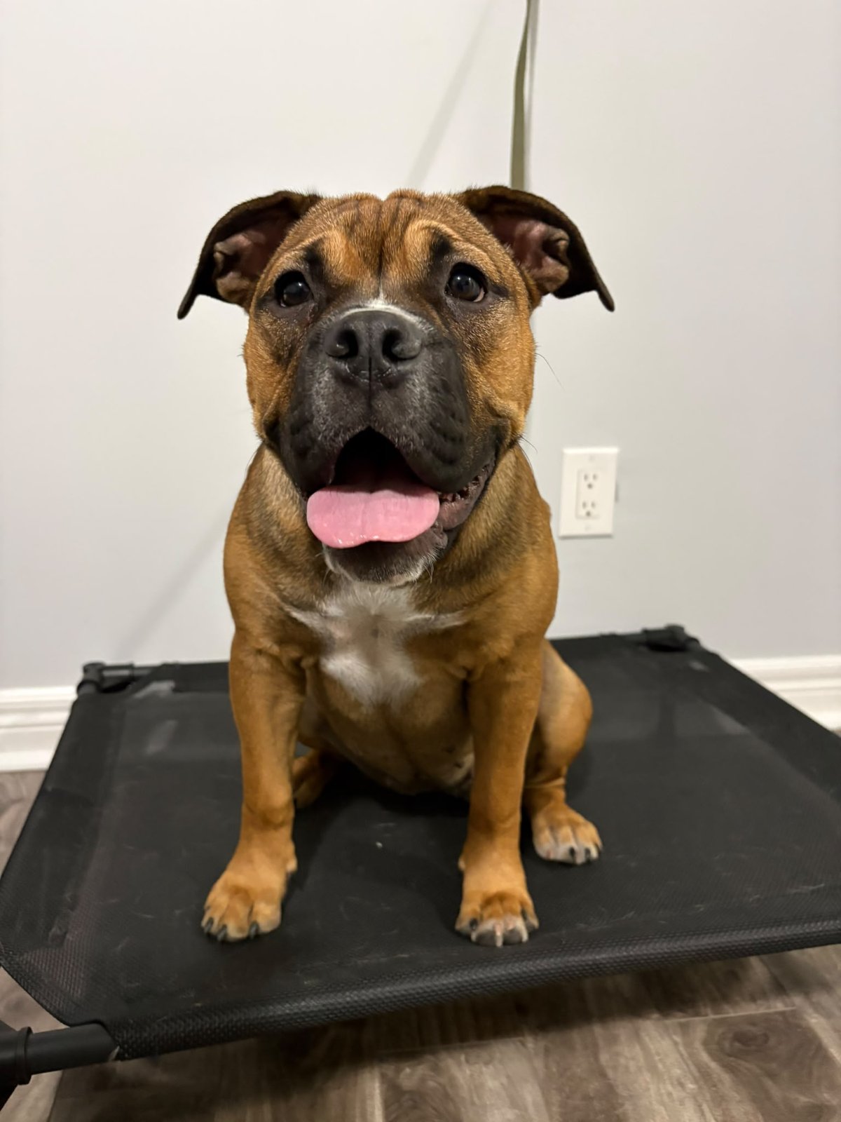 Lucy