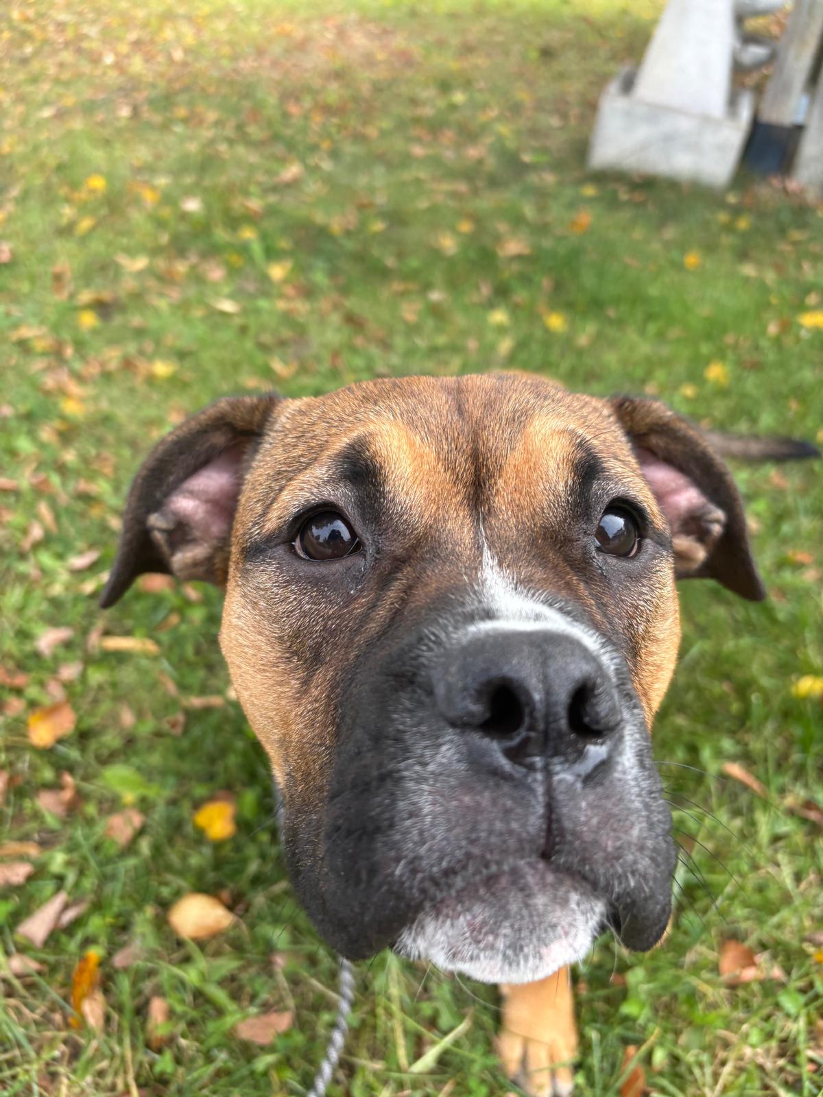 Photo of Lucy