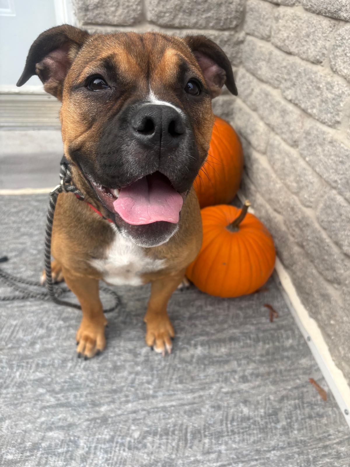 Photo of Lucy