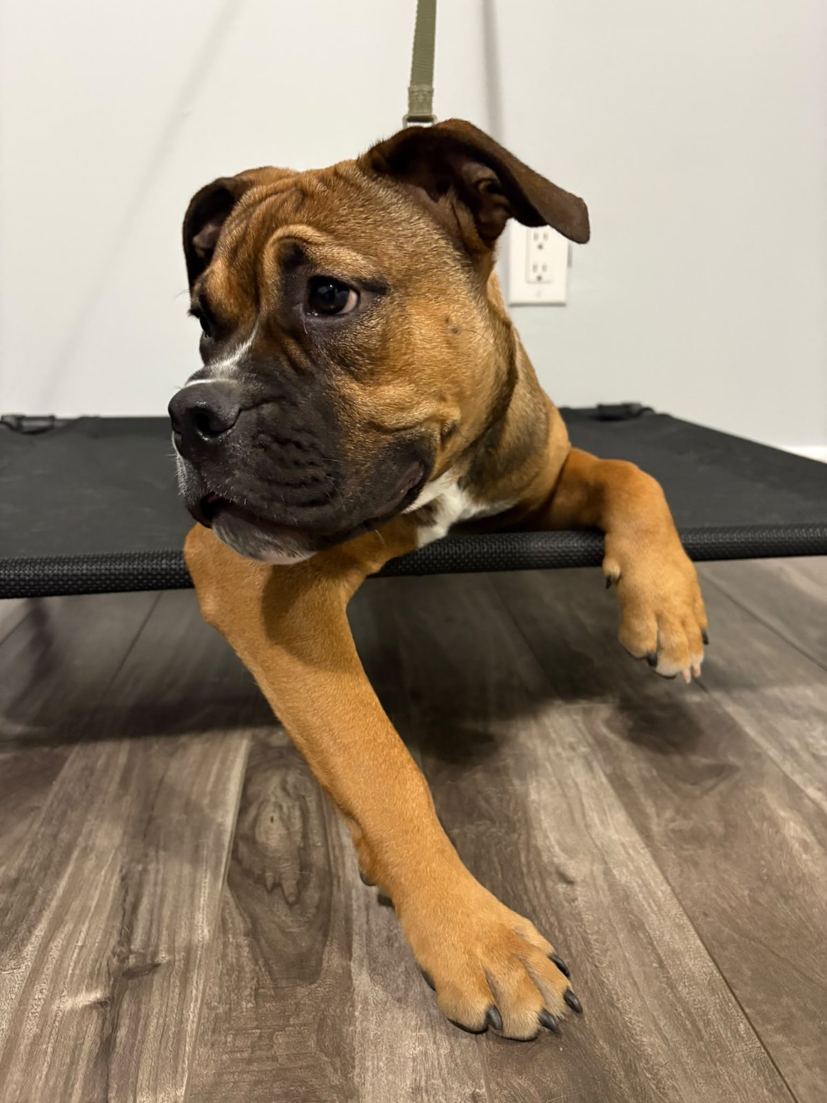 Photo of Lucy