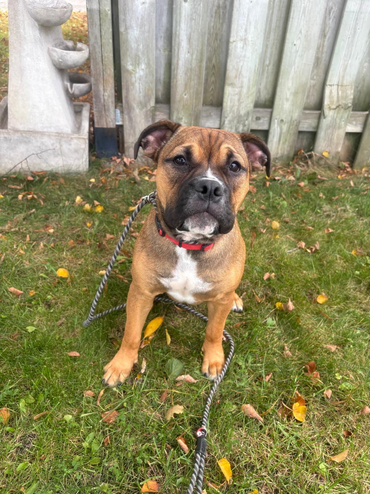 Photo of Lucy