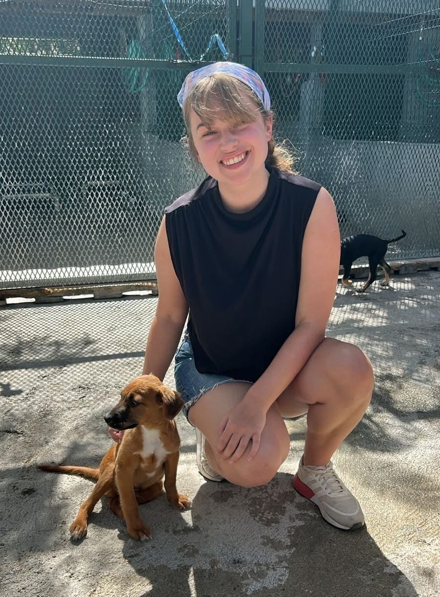 Photo of Mac