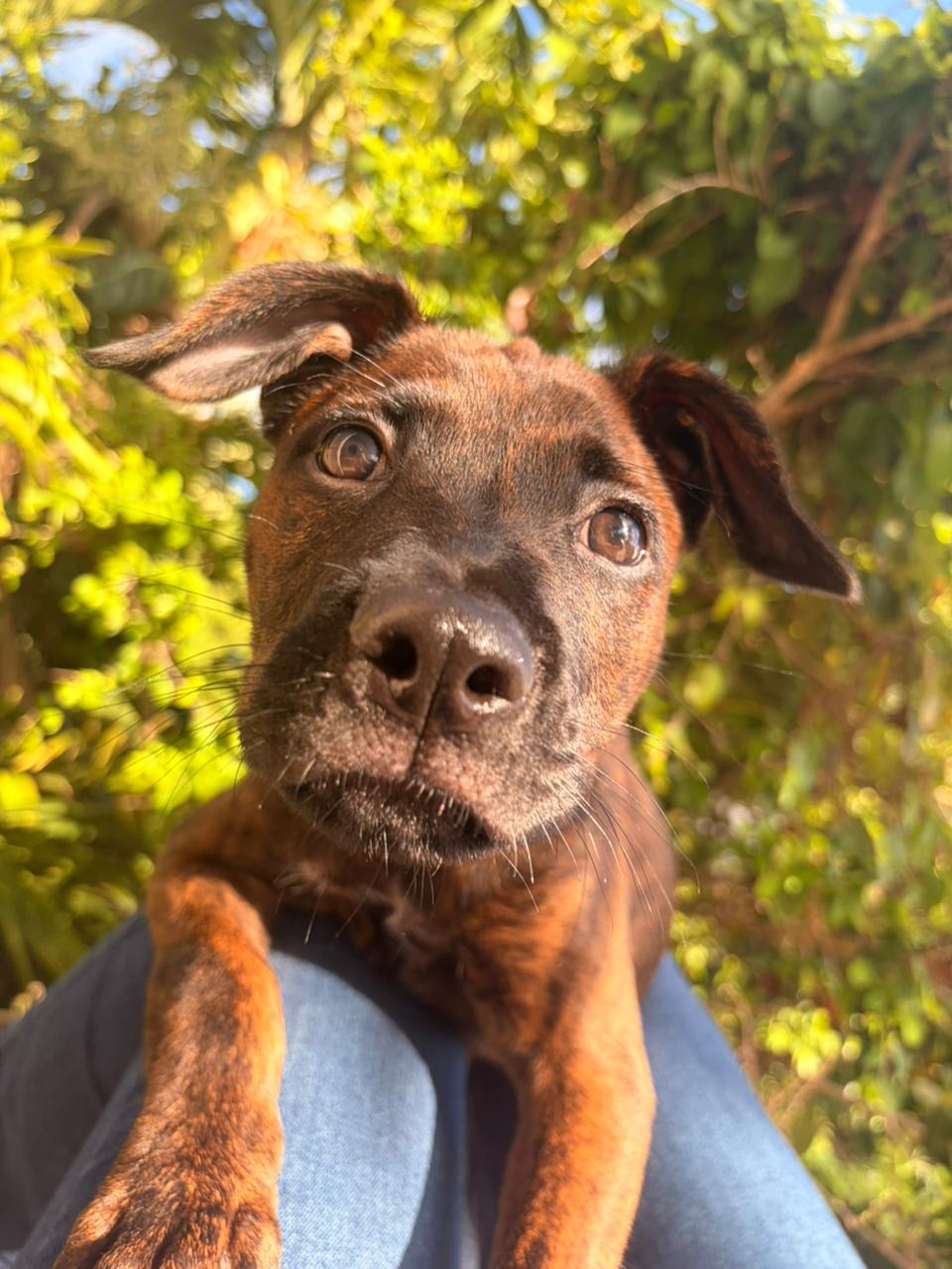 Photo of Mako