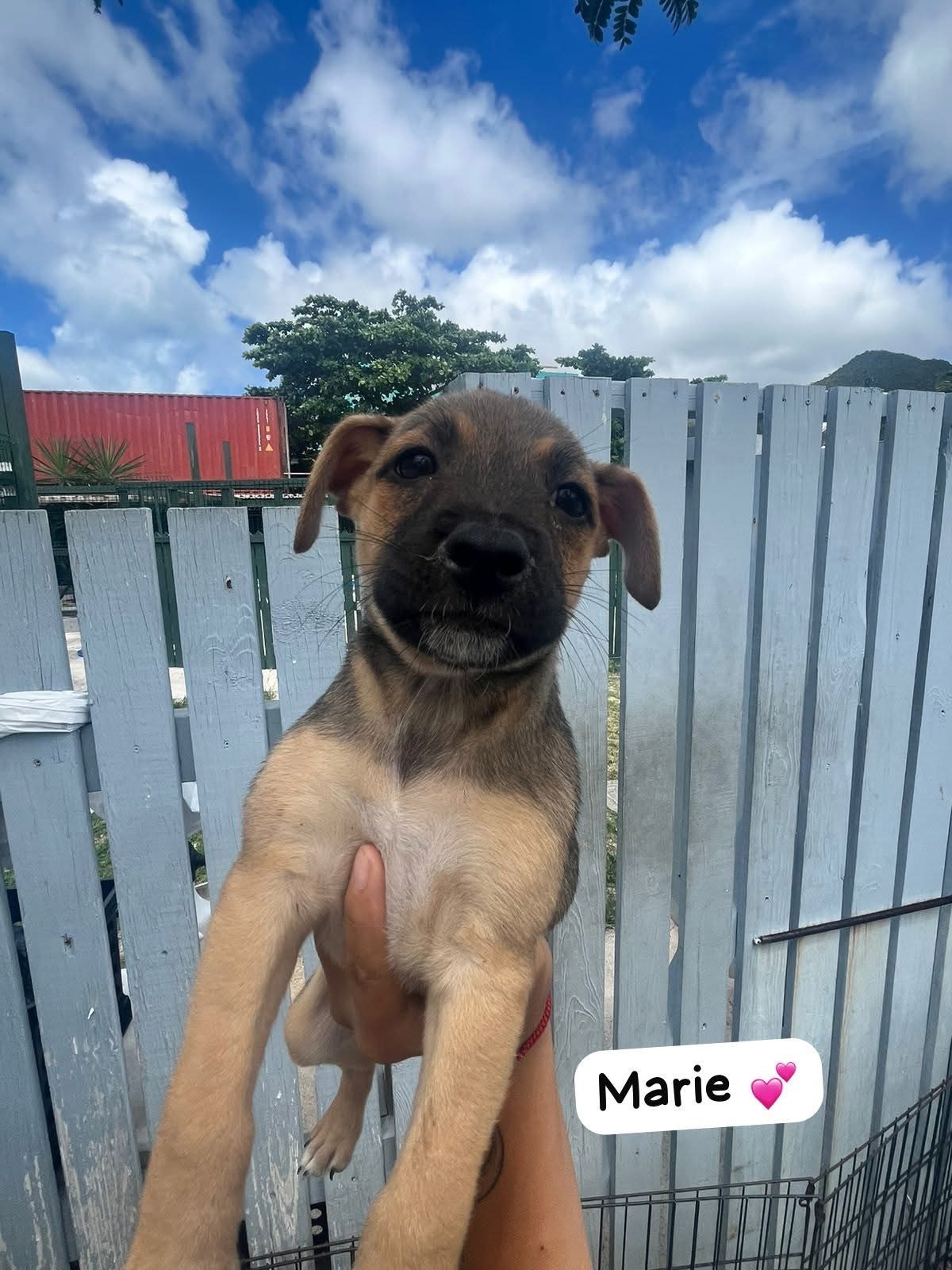 Photo of Marie