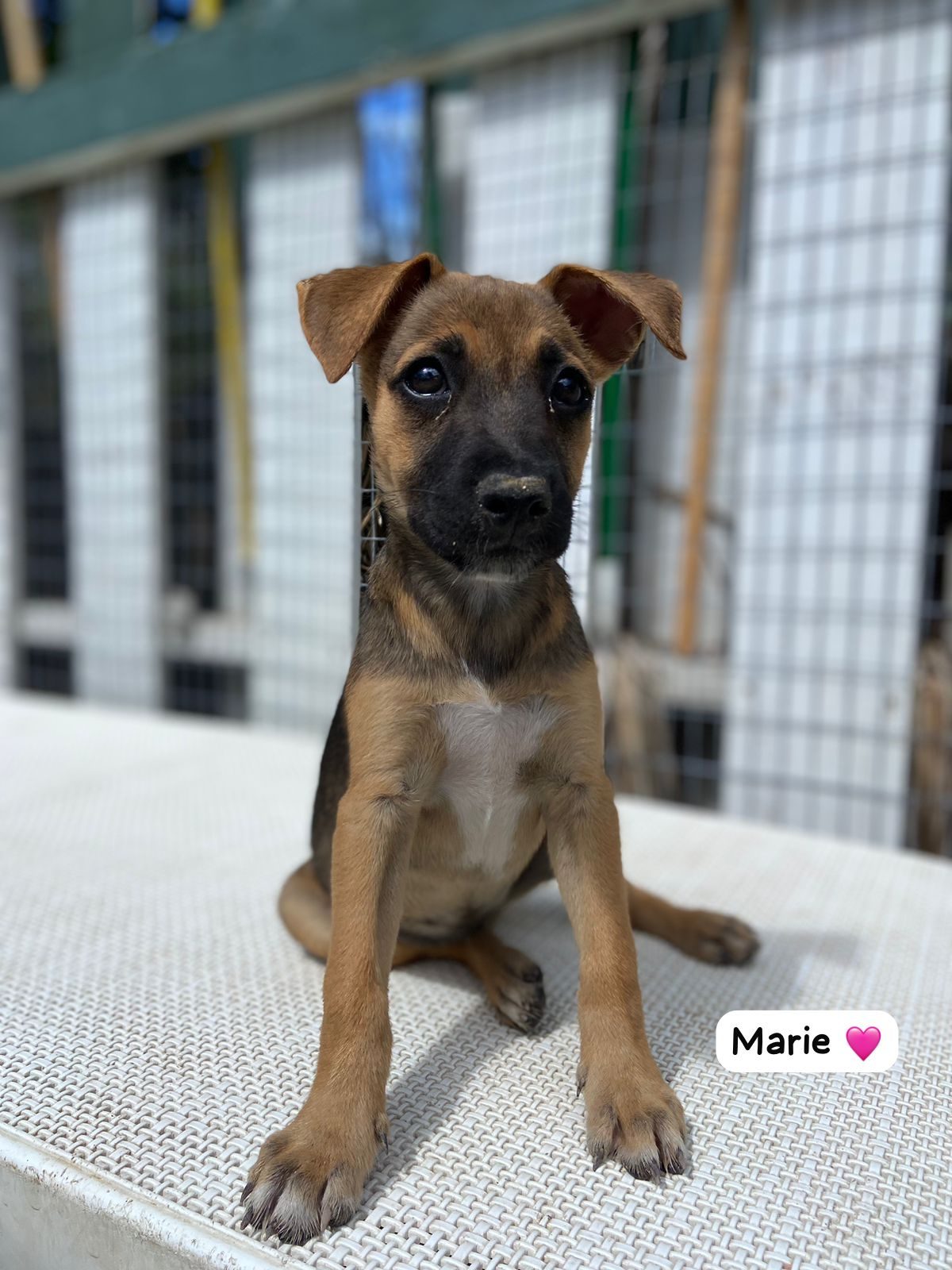 Photo of Marie