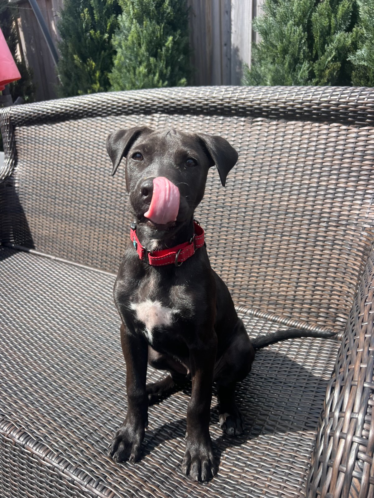 Photo of Moe