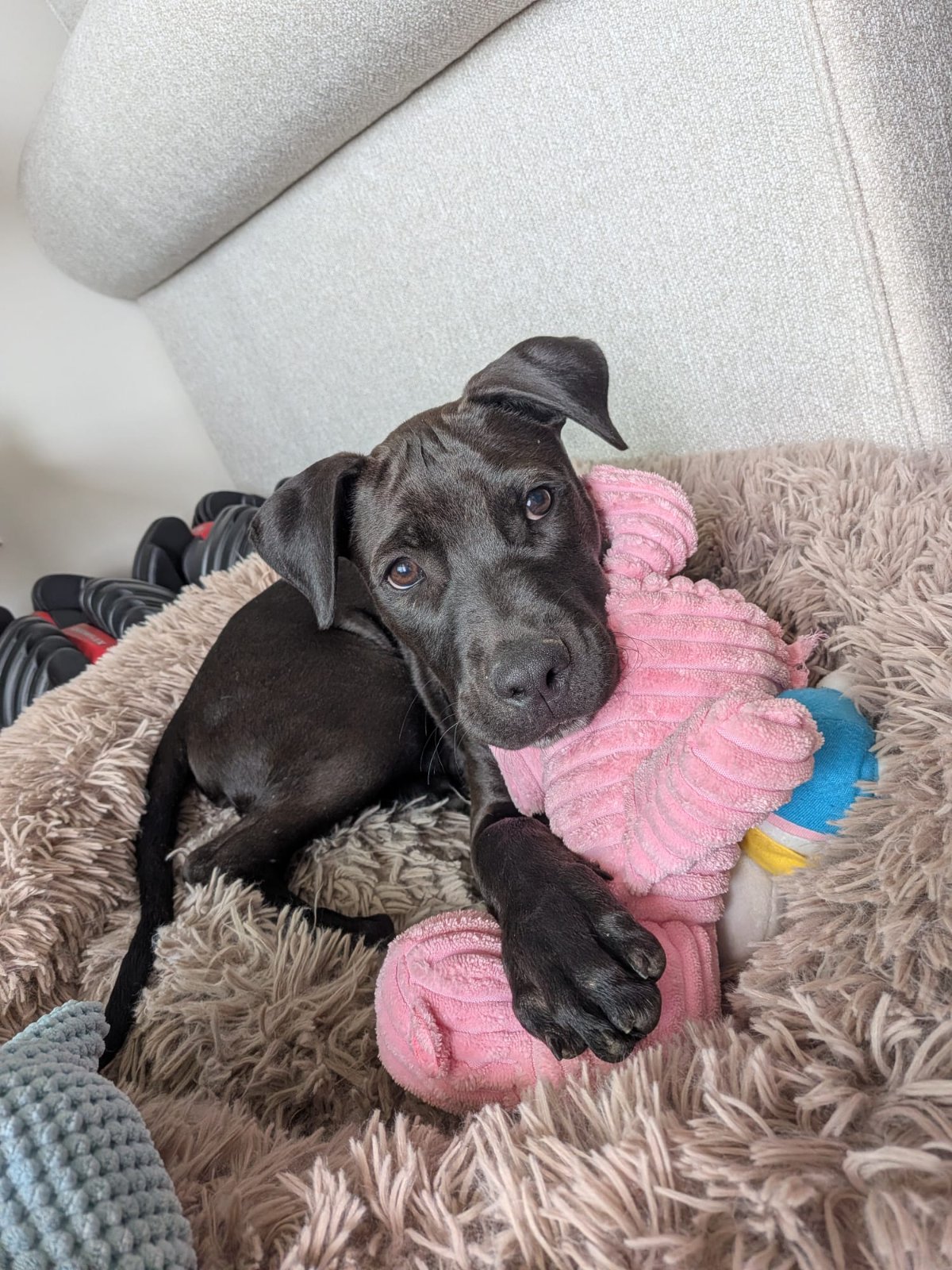 Photo of Moe