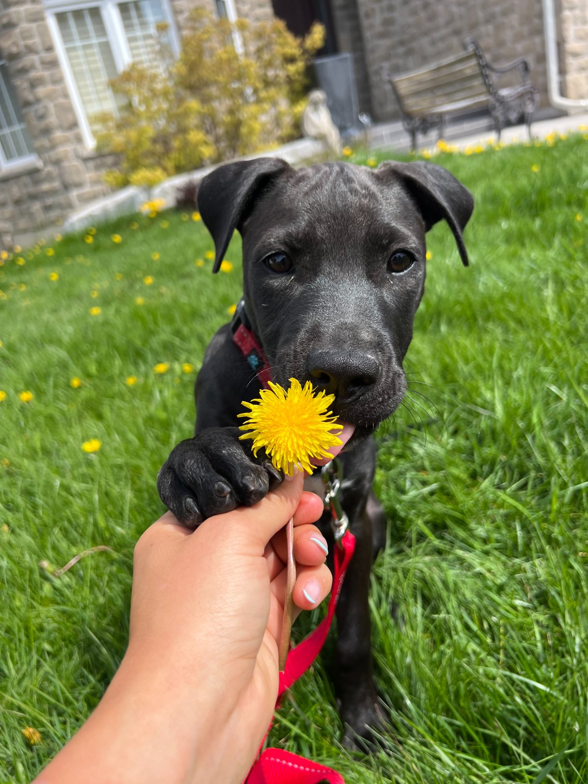 Photo of Moe