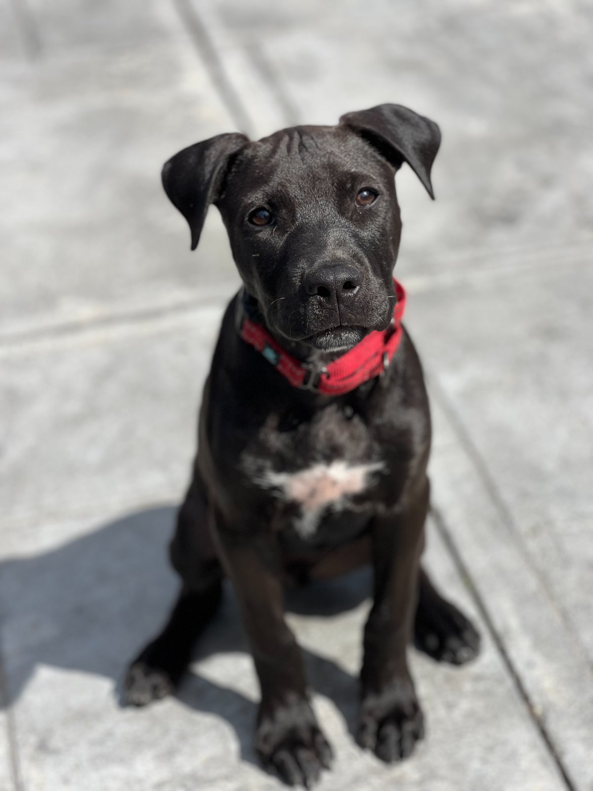 Photo of Moe