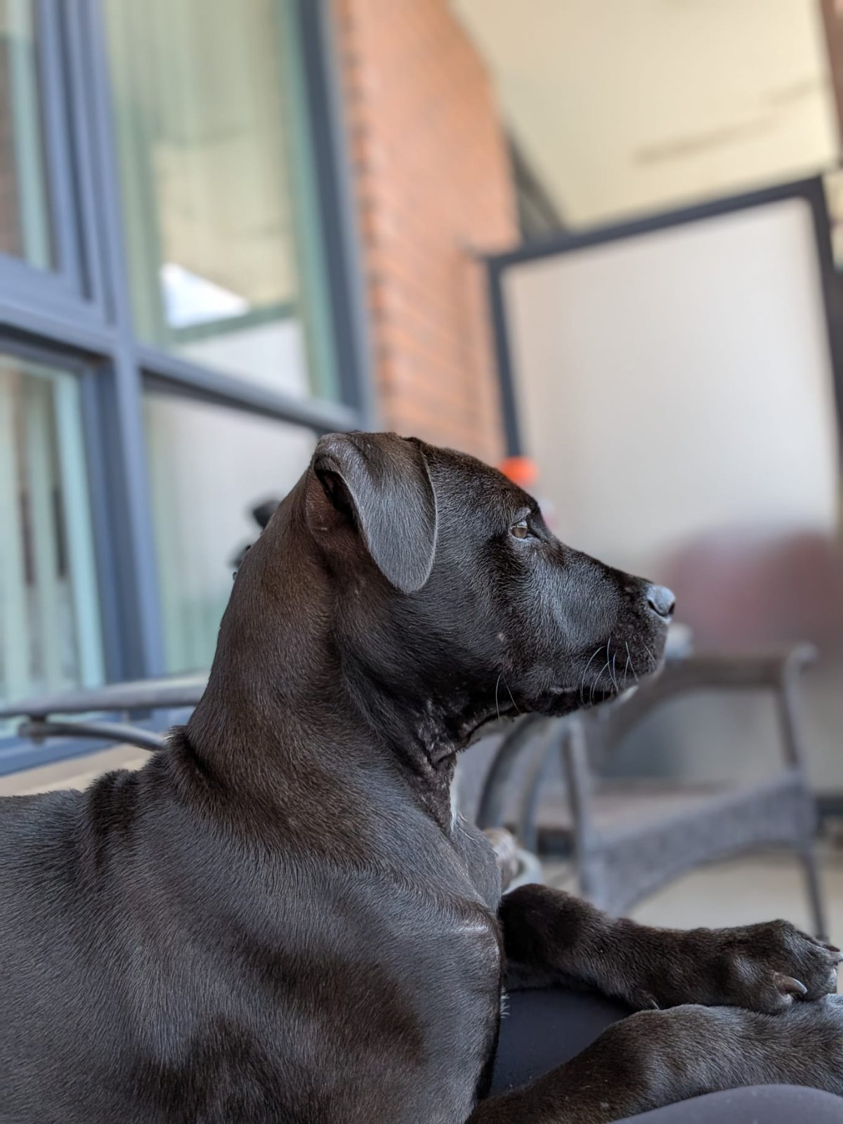 Photo of Moe