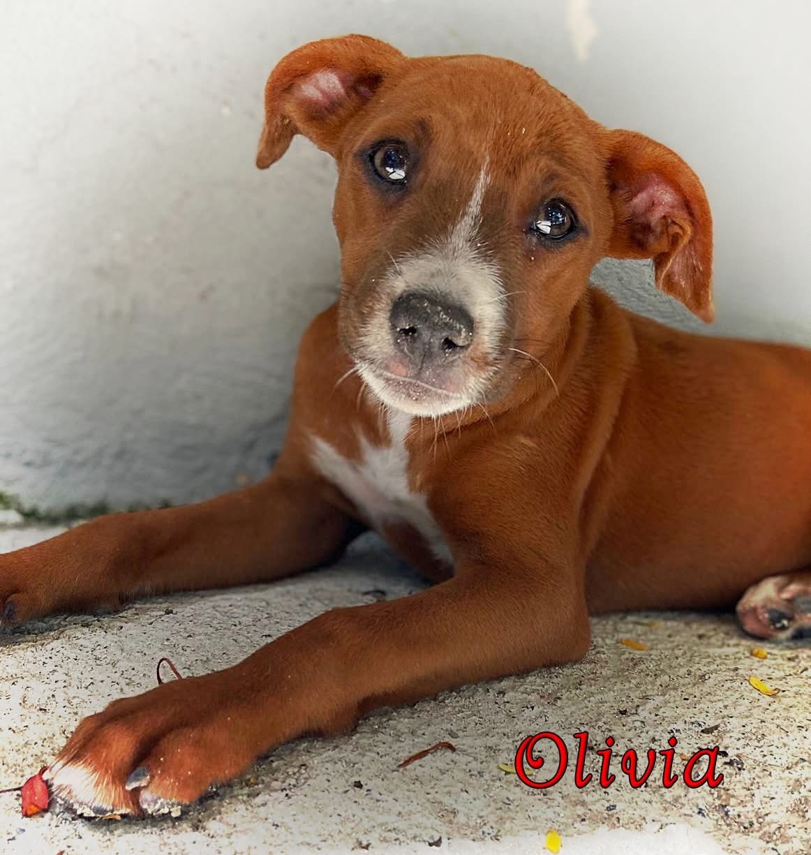 Photo of Olivia
