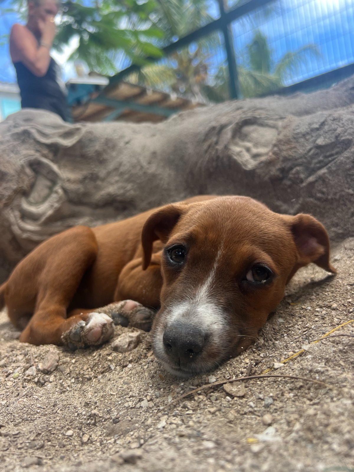 Photo of Olivia