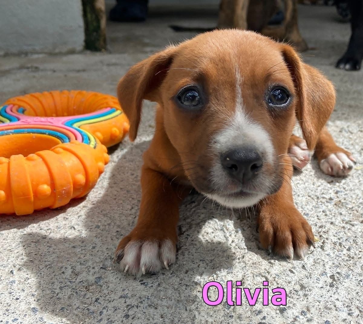 Photo of Olivia