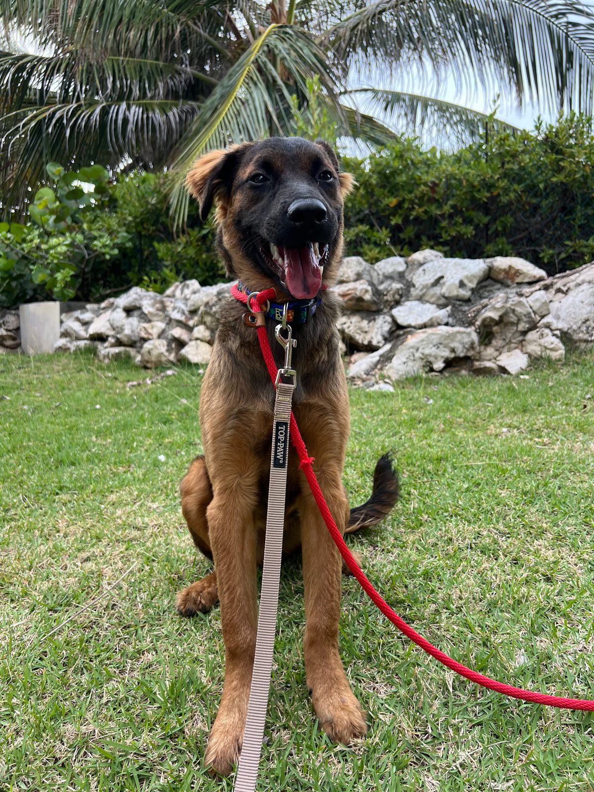 Photo of Remmy