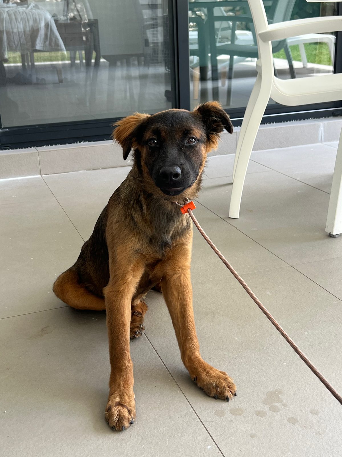 Photo of Remmy