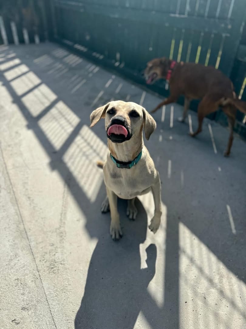 Photo of Riley