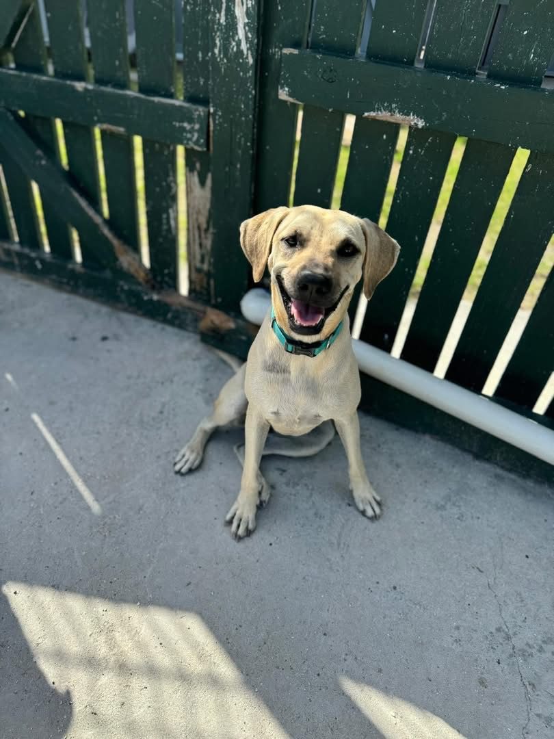 Photo of Riley